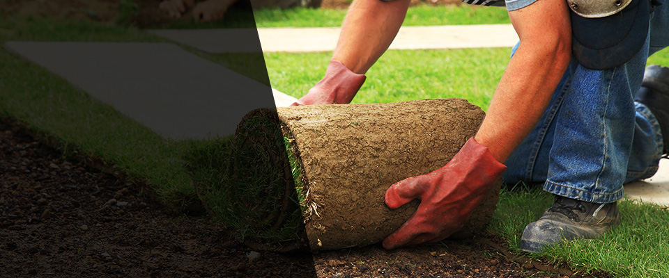 Strongsville Landscapers